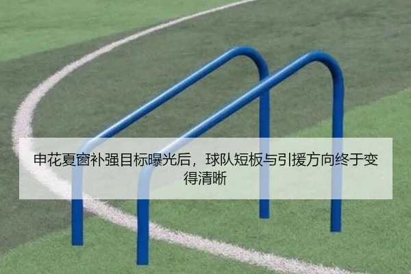 申花夏窗补强目标曝光后，球队短板与引援方向终于变得清晰